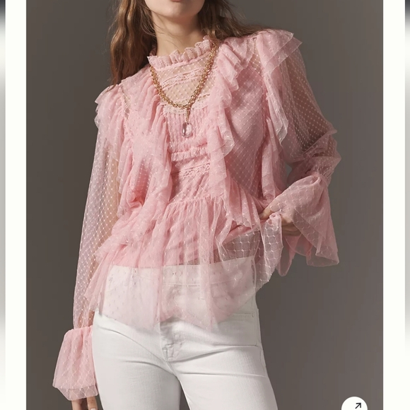 NWT Anthropologie Pink Sheer Mesh Ruffle Longsleeve Blouse Size Small - Picture 1 of 12